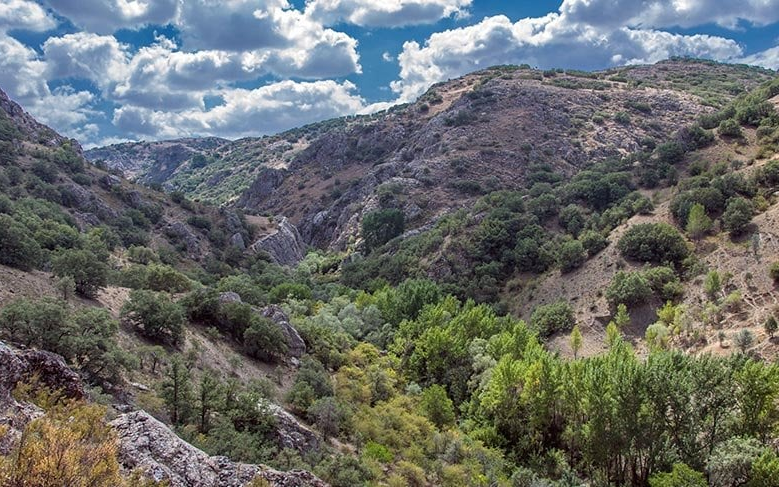 Kıbrıs Vadisi için kritik bilirkişi raporu