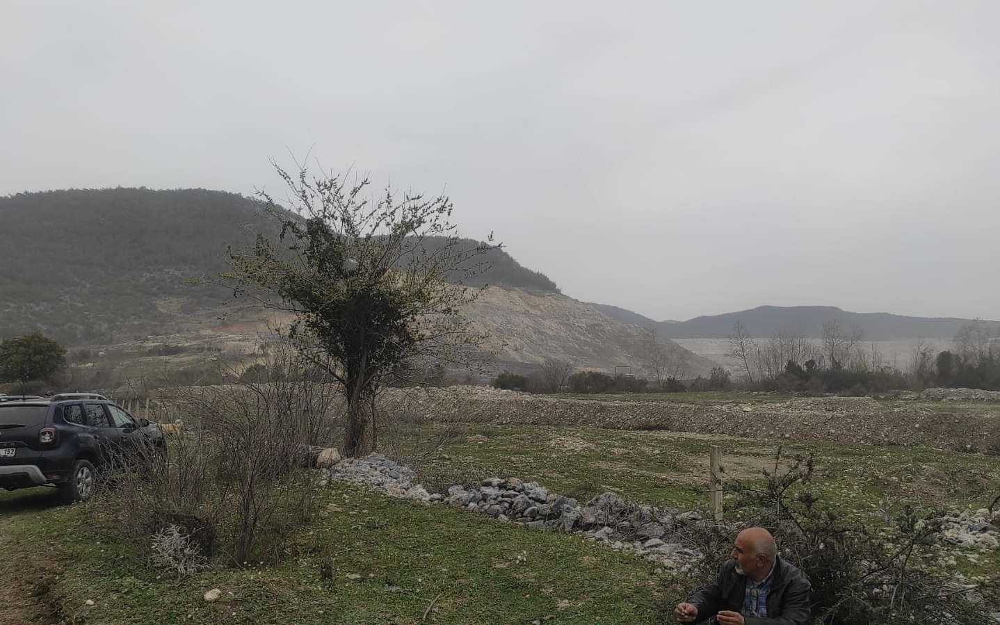 Akbelen'de zeytin katliamı!