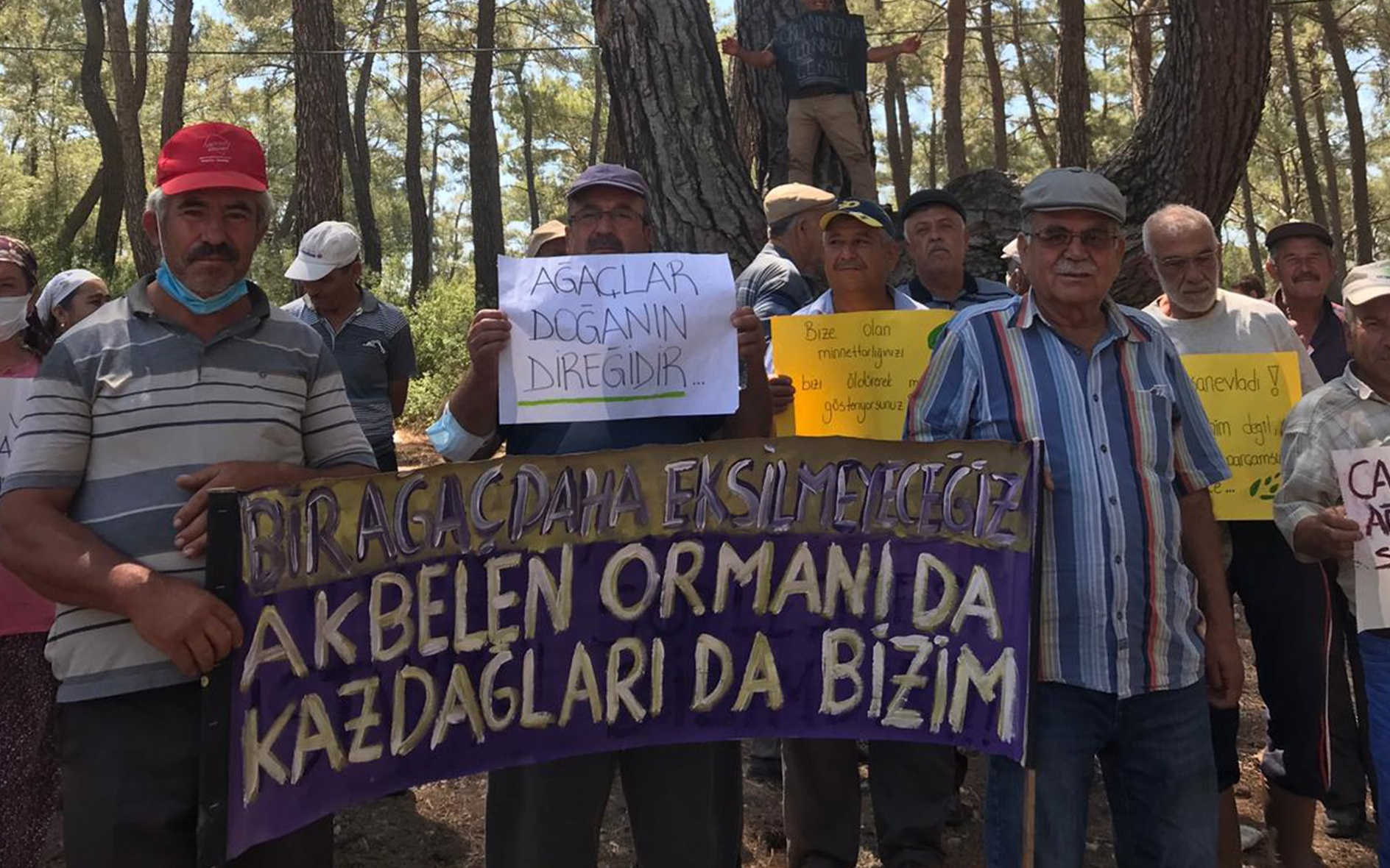 Akbelen’de ağaç kesilmesi davasında bilirkişi raporu yayınlandı