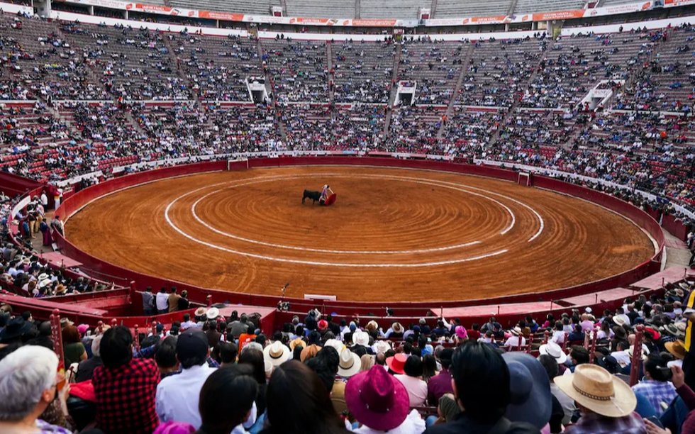 La Plaza Mexico'da boğa güreşleri yasaklandı