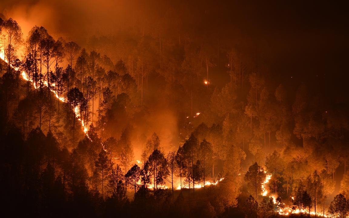 Meteoroloji’den Muğla için orman yangını uyarısı