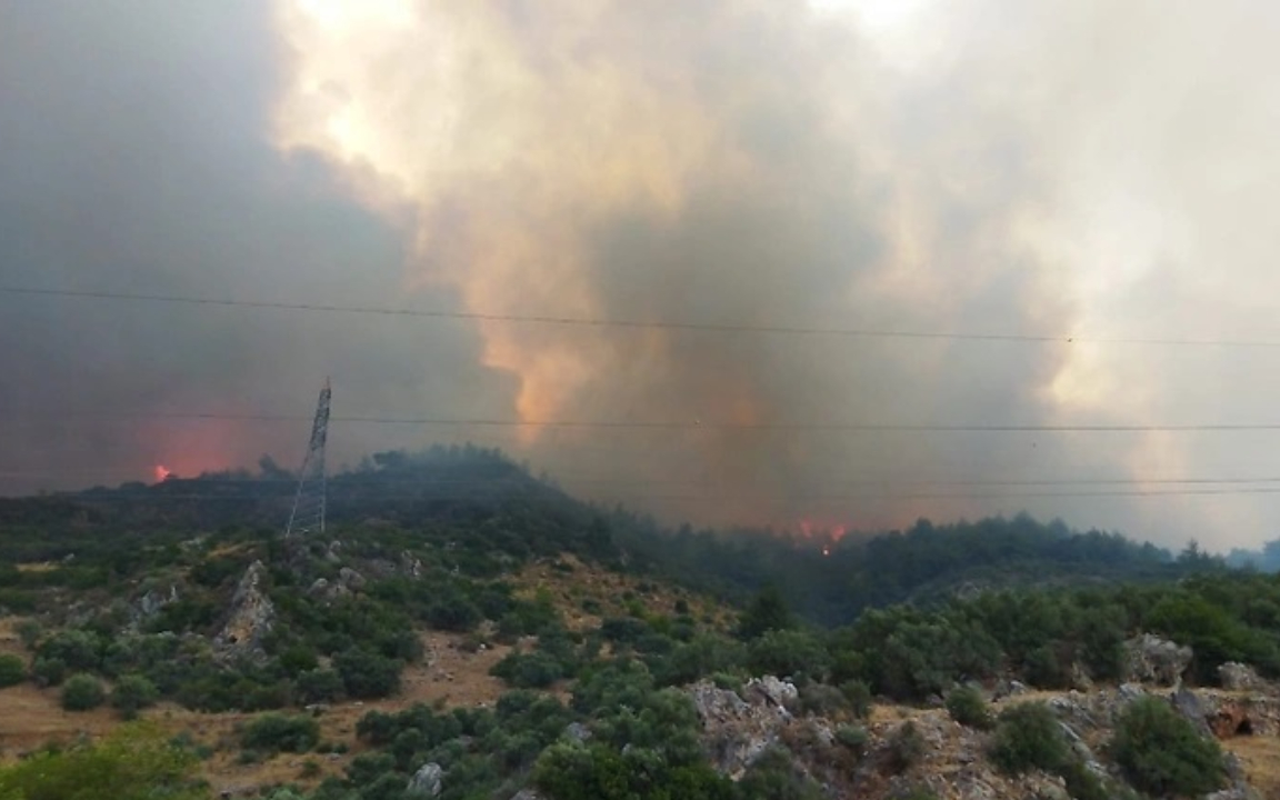 Söke'de orman yangını büyüdü