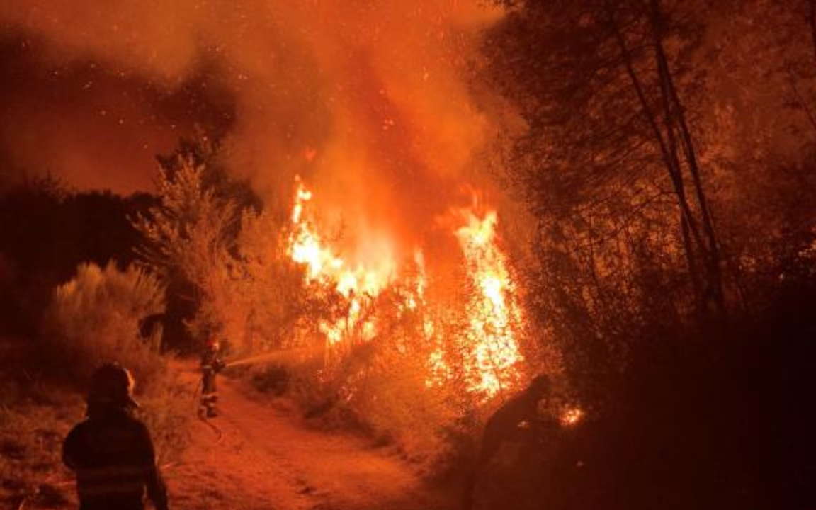 İspanya'da orman yangını: 1300 kişi tahliye edildi