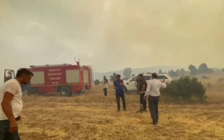 Erzincan'da orman yangını