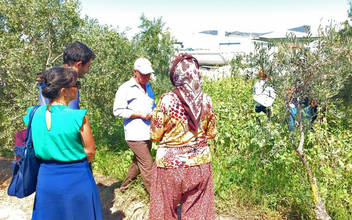 Madencilik nedeniyle toz altında kalan mahallede bilirkişi keşfi