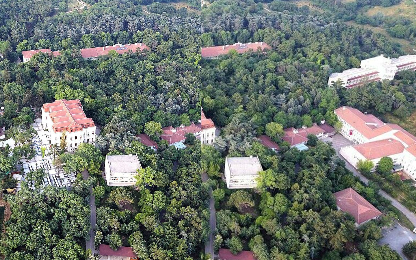 Validebağ Korusu için çıkartılan imar planları iptal edildi