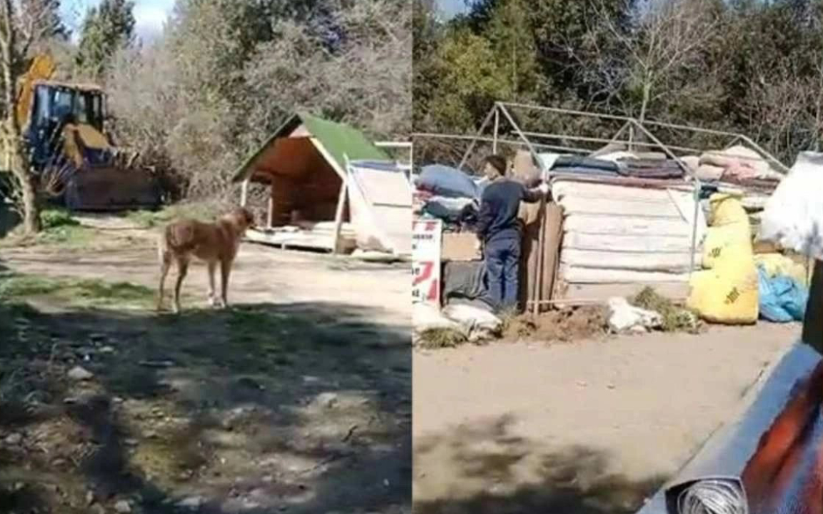 Boğaziçi Hayvan Barınma Merkezi’ne iş makineleriyle baskın!