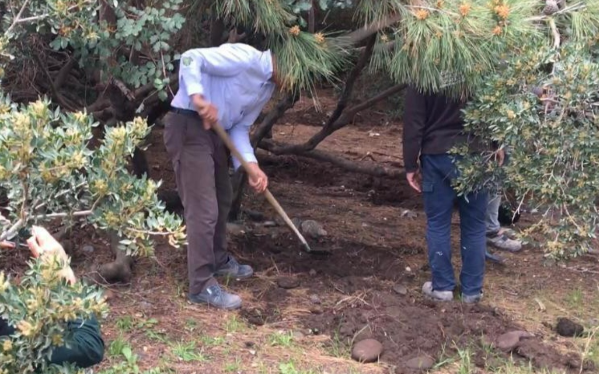 Phaselis Bostanlık Koyu'nda yurttaş denetimi