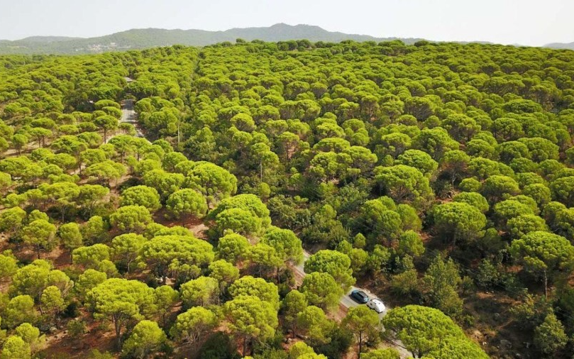 Antalya’da ormanda ateş yakmak yasaklandı