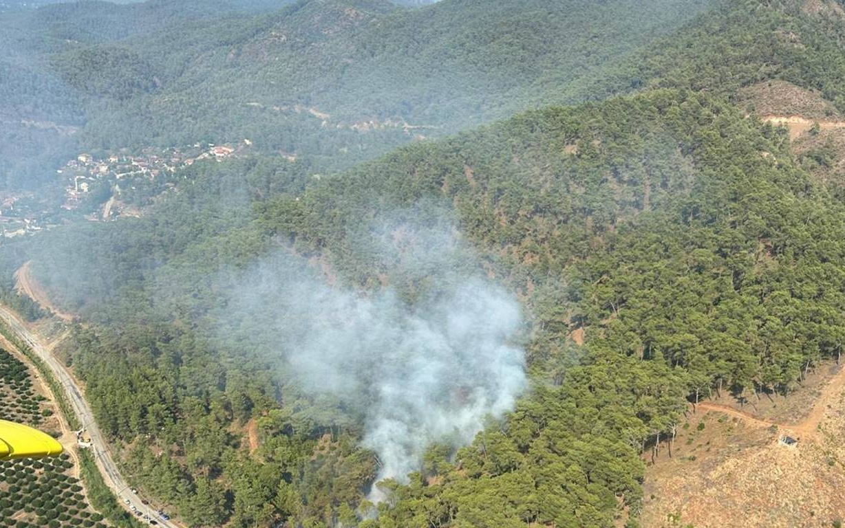 Muğla'da orman yangını kontrol altına alındı