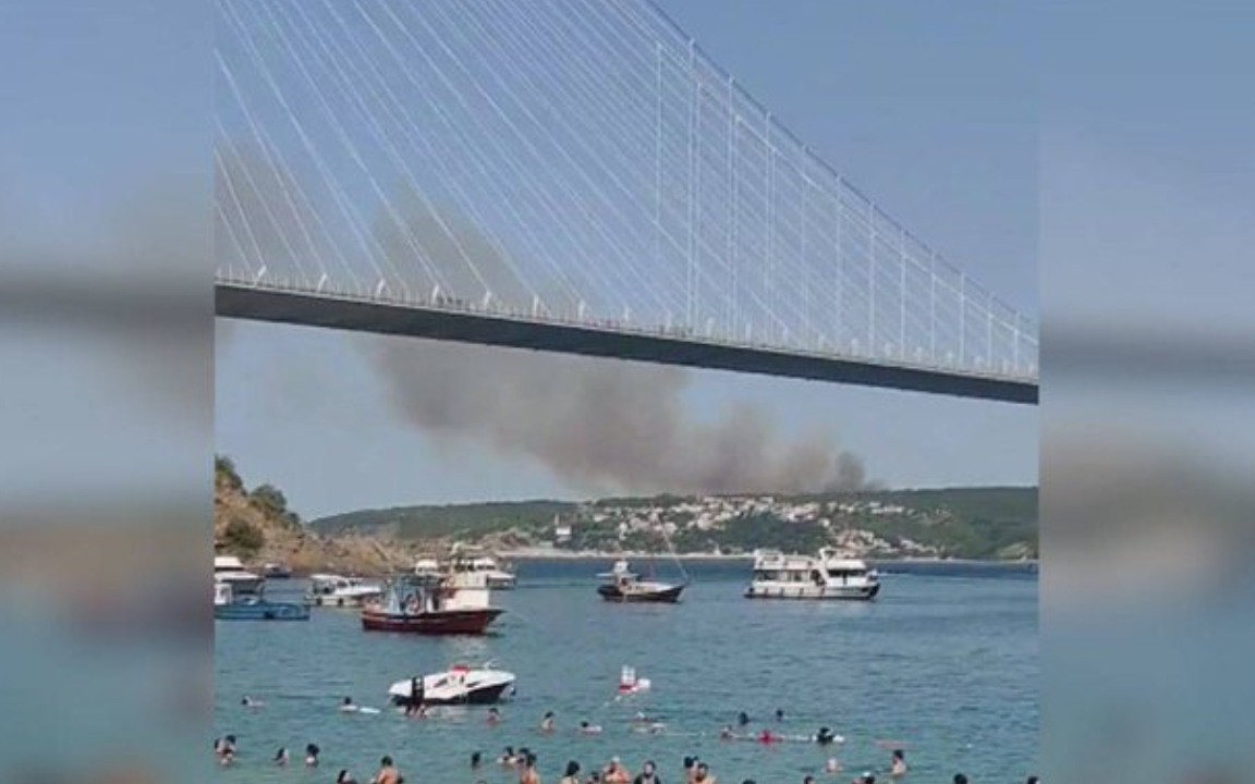 Beykoz'da orman yangını çıktı