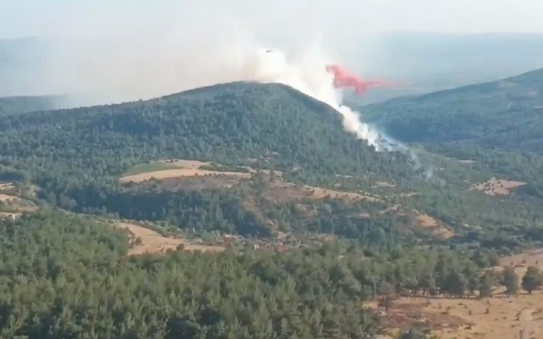 Manisa’daki yangın kontrol altında