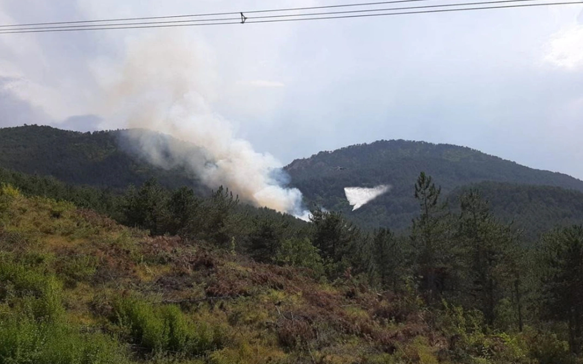 Bolu’da orman yangını