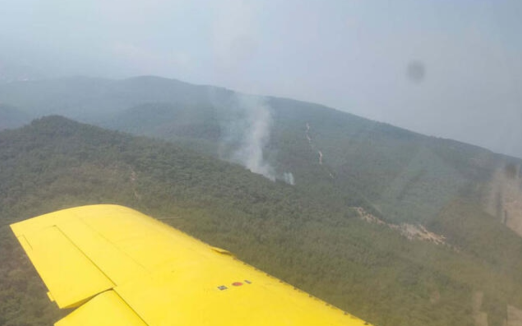 İzmir'deki orman yangını kontrol altına alındı