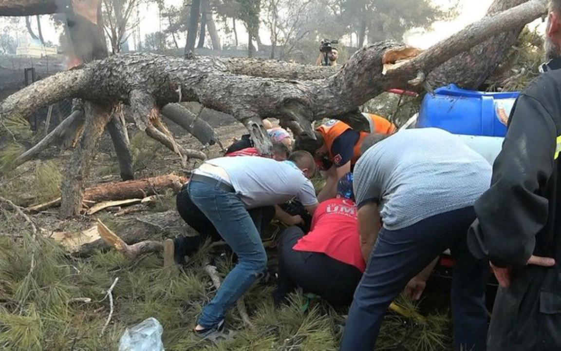 Yanan ağacı söndürmek isterken ağacın altında kaldı