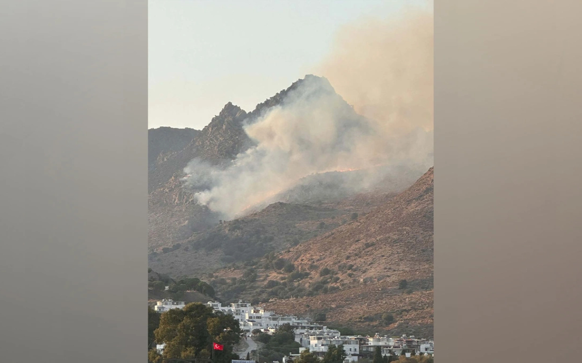 Bodrum’da makilik alanda yangın