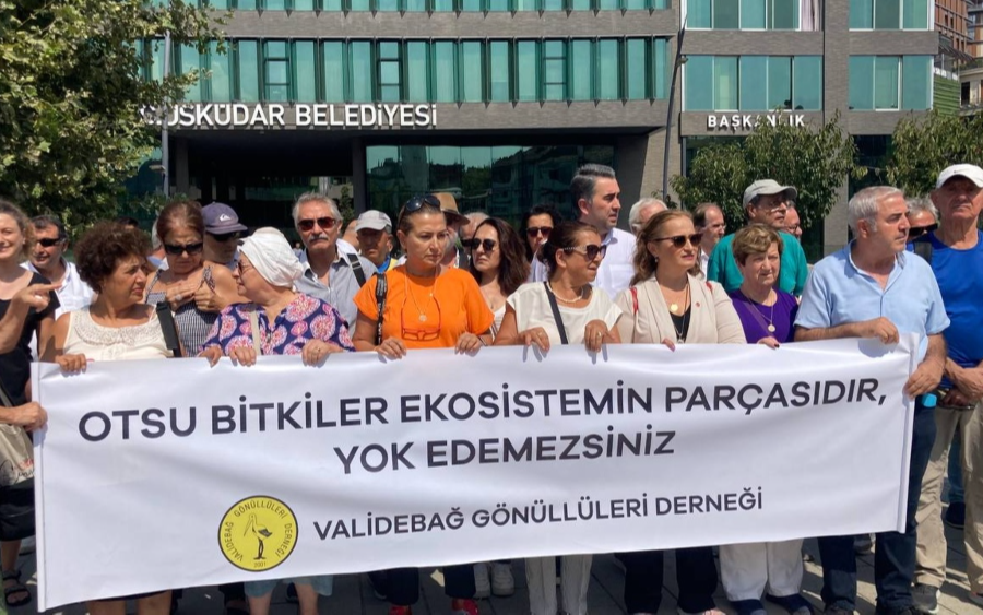 Validebağ Gönüllüleri Derneği: Otsu bitkiler ekosistemin parçasıdır, yok edemezsiniz