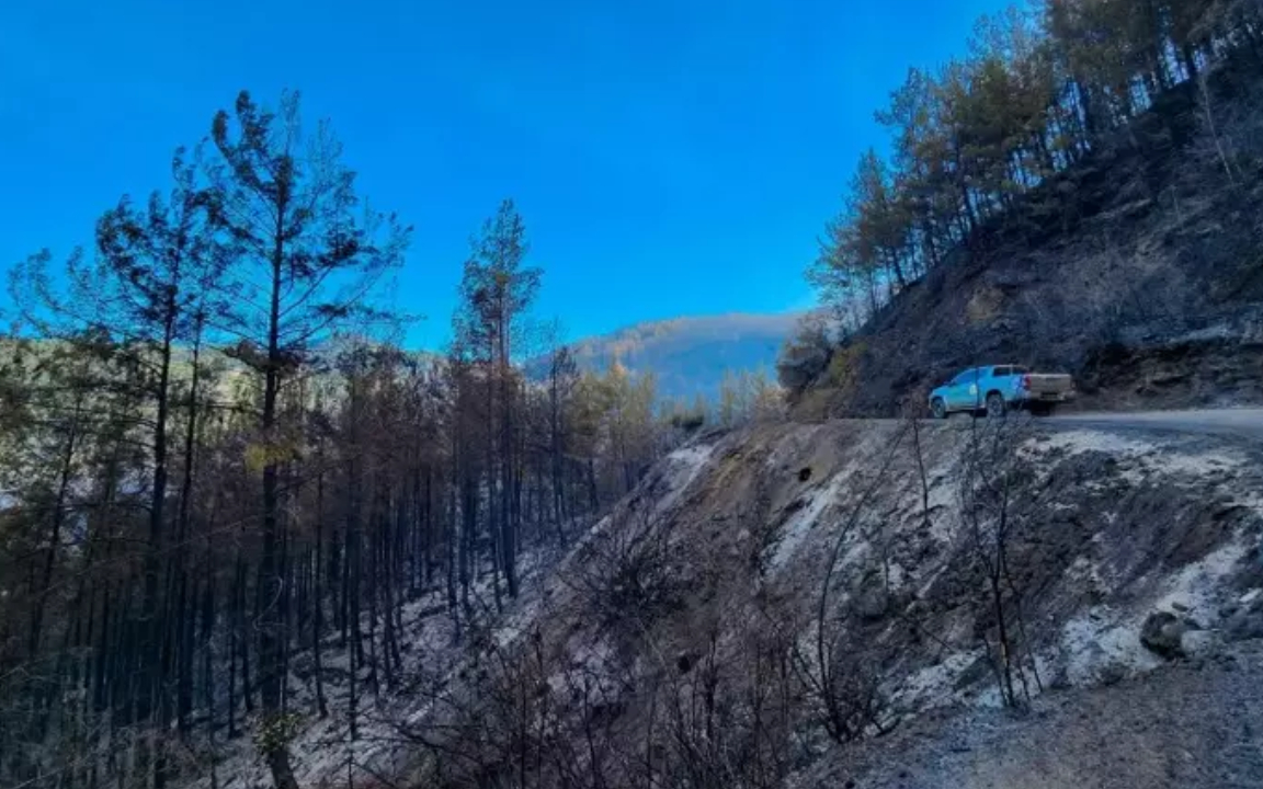 Alanya’daki yangın 2. gününde söndürüldü