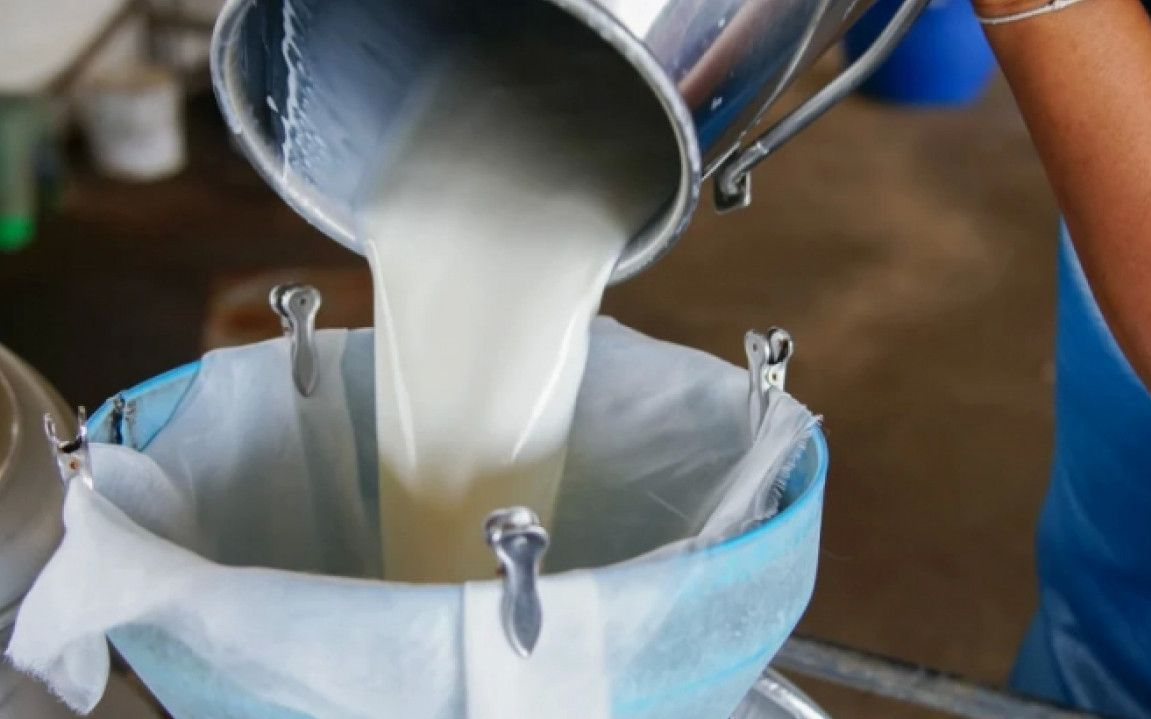 Süt üreticileri zararda: Masraflarını dahi karşılayamıyor