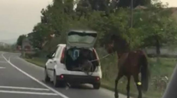 Aracına bağladığı atı kilometrelerce koşturdu