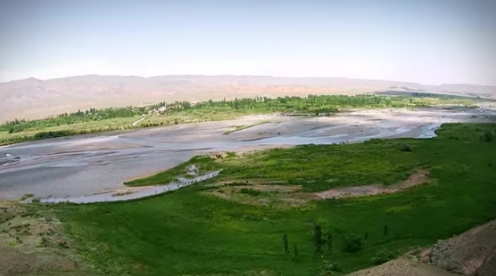 Aras Nehri Kuş Cenneti'nde yeni kuş genetik dizileri bulundu