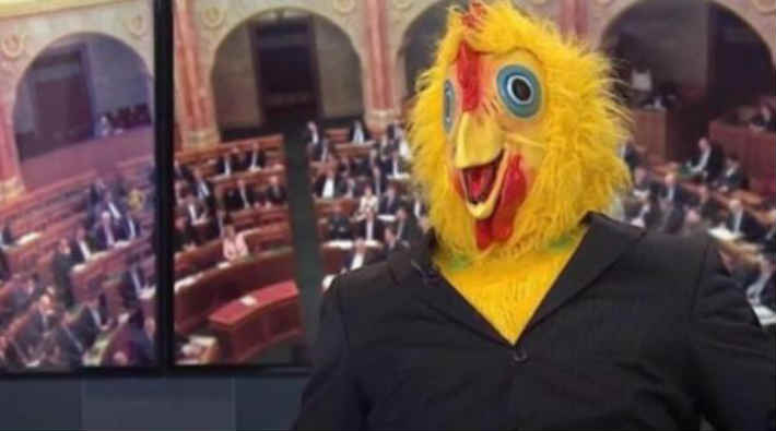 Parti sözcüsü devlet televizyonuna tavuk kostümüyle çıktı