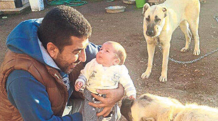 İzmir'de icra memurları Sivas kangal cinsi 2 köpeği haczetti!