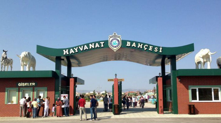 Eskişehir Hayvanat Bahçesinde skandal görüntüler