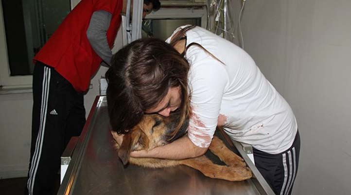 Arabanın çarptığı köpeğe 'ne olur ölme' diyerek göz yaşı döktü