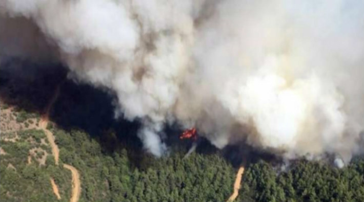 İzmir'de dev orman yangını